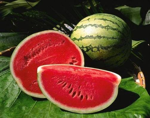Tikiti - Fruits fresh GENGE ONLINE